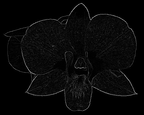 Example of non-maximal suppression