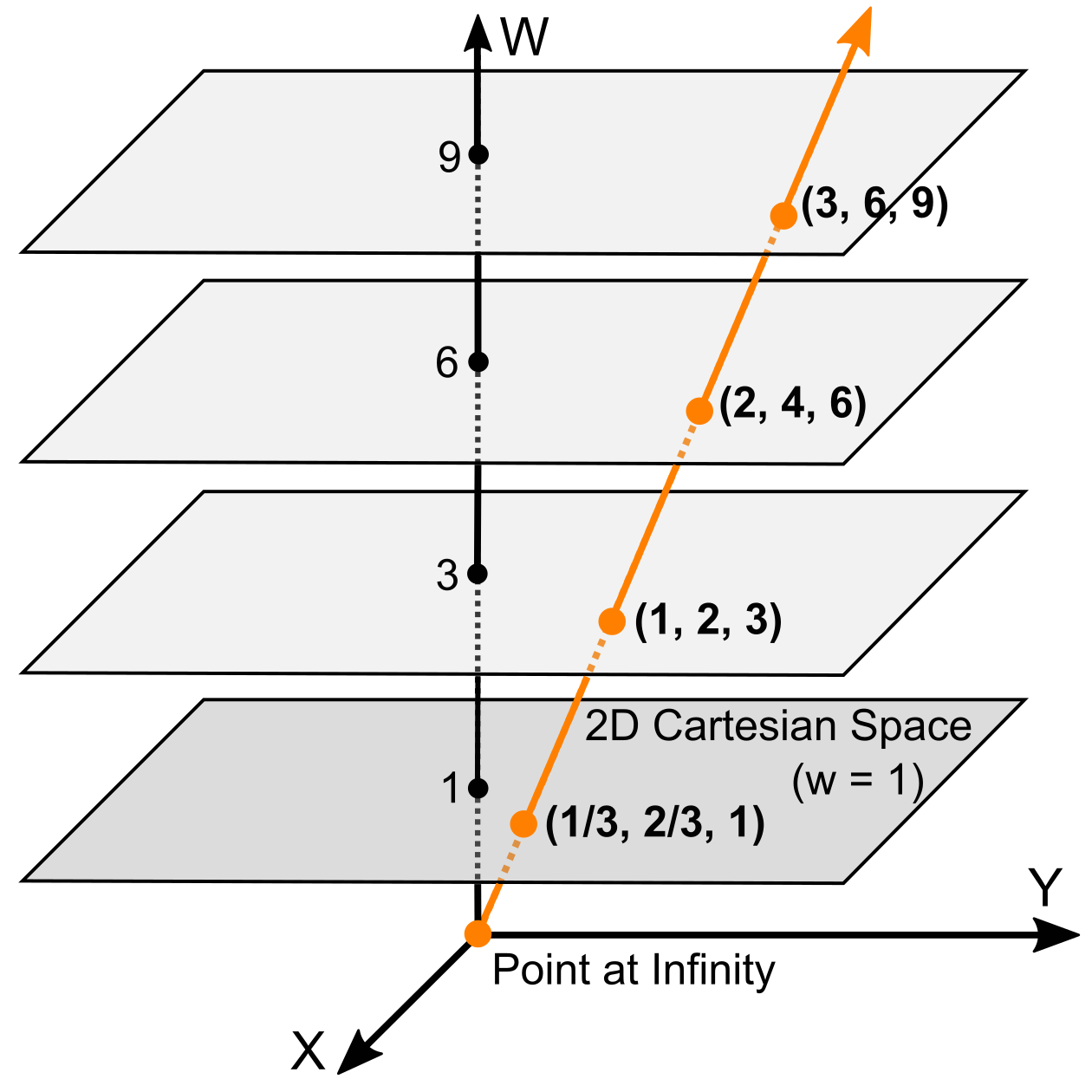 homogeneous points