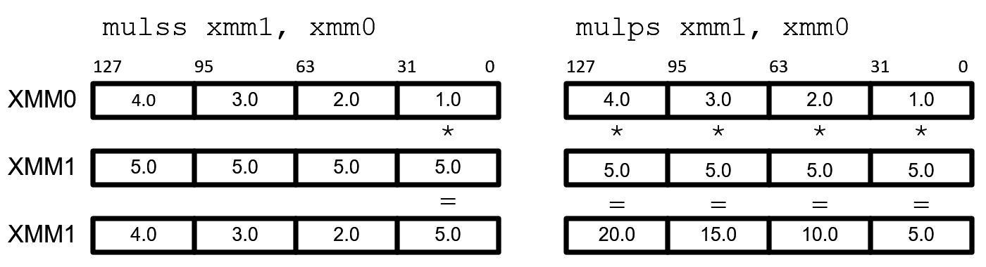 Scalar and Packed