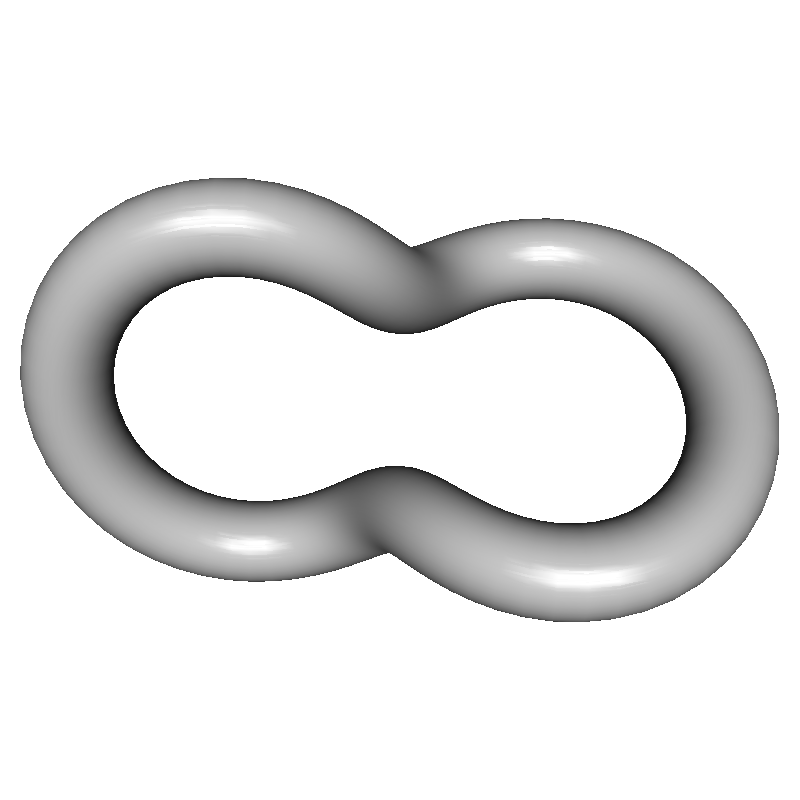 (2,4) torus knot